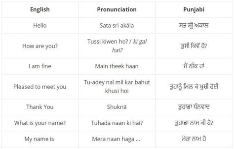 tailgating meaning in punjabi|50+ Basic Punjabi Words And Phrases: A Useful Guide .